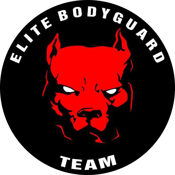 Elite Bodyguard Team
